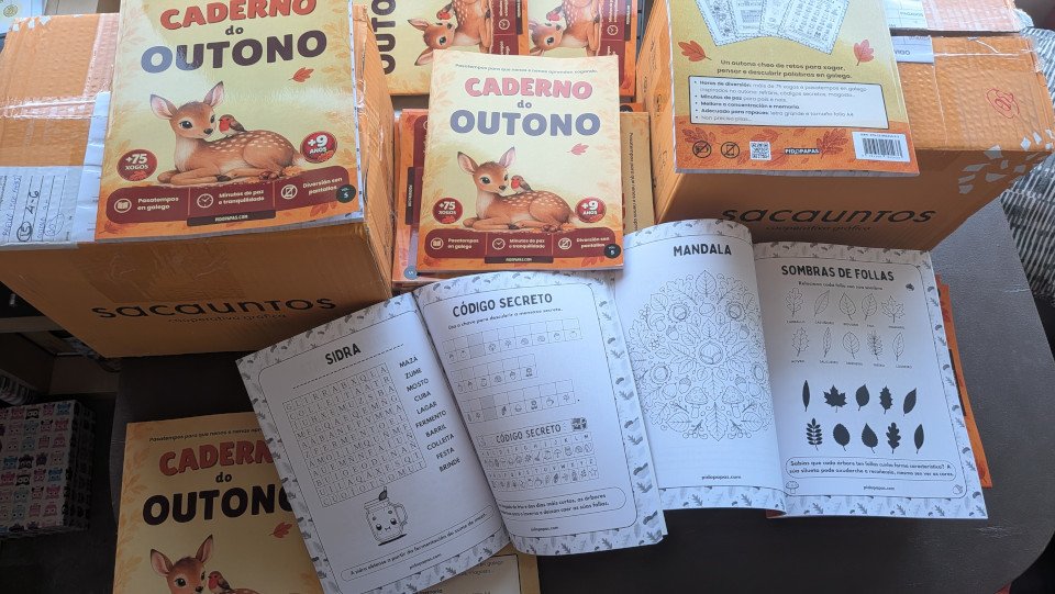 caderno outono pidopapas exemplos 9 anos